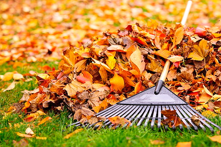 How Falling Leaves Affect Your Home Exterior and How Pressure Washing Helps