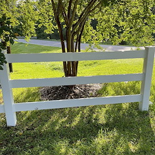 Fence Cleaning 4