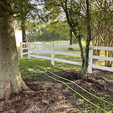 Fence Cleaning 3