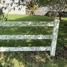 Fence Cleaning 1