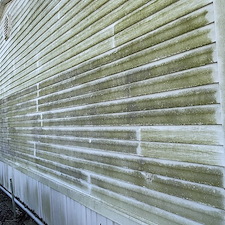 House Soft Washing 10