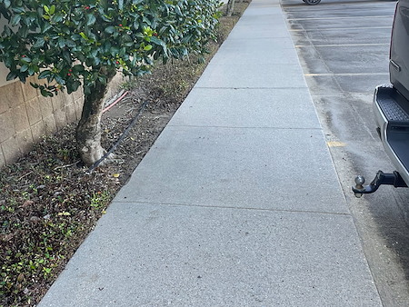 Sidewalk Cleaning