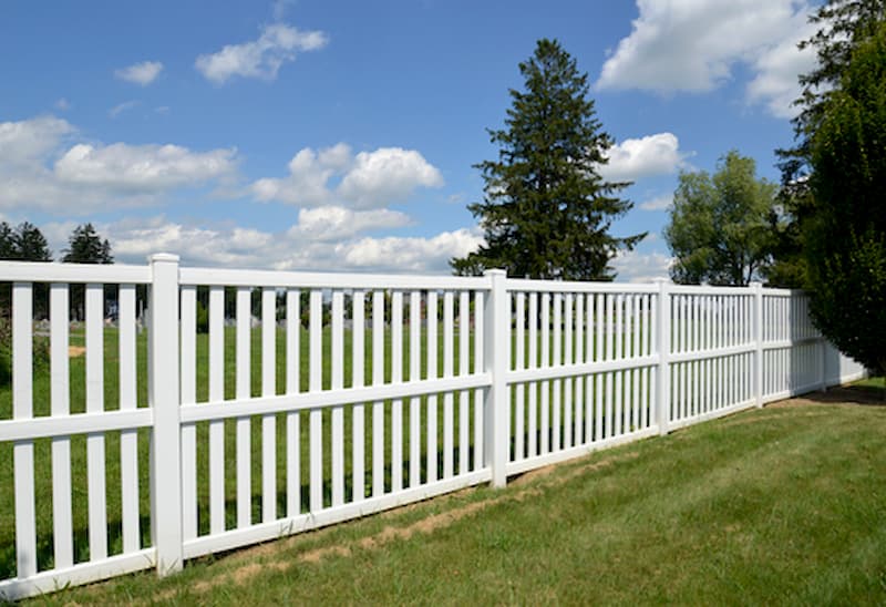 Vinyl & Wood Fence Cleaning